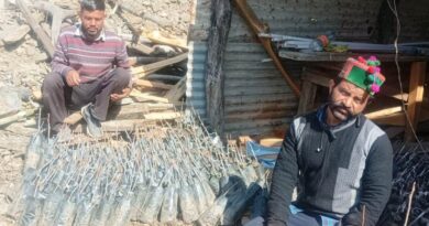 From Apples to Persimmons: Farmers in Himachal Embrace a Sweet New Future HIMACHAL HEADLINES