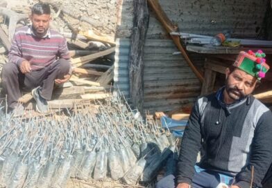 From Apples to Persimmons: Farmers in Himachal Embrace a Sweet New Future