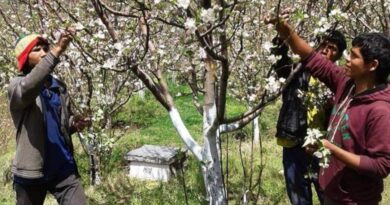 Increase apple production with modern and scientific techniques : Dr Satish Sharma HIMACHAL HEADLINES