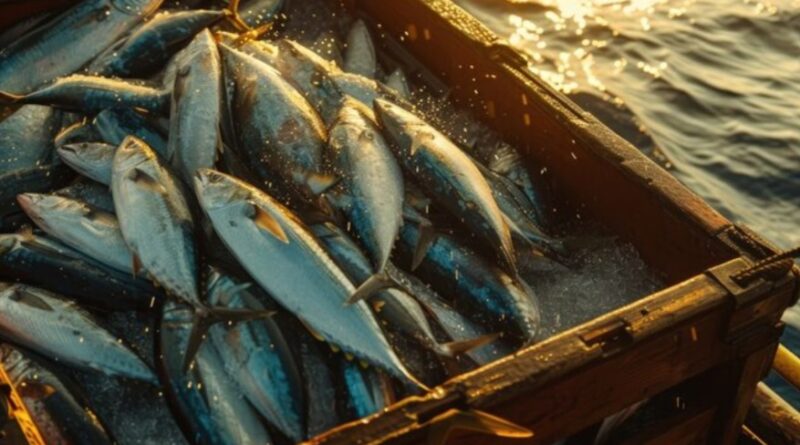 ₹5 Cr fisheries training center has been approved for Gagret by central government HIMACHAL HEADLINES