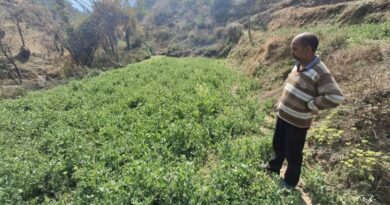 From Barren to Bountiful: How One Farmer’s Determination, Backed by Govt Support, Turned His Land into Gold