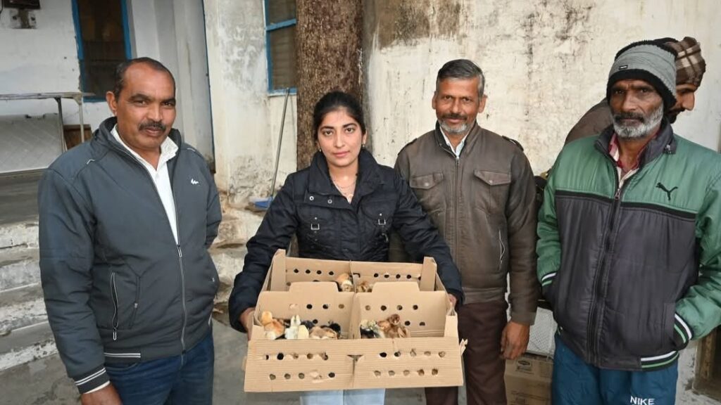 Farmers learn to raise backyard poultry farms the smart way Farmers learn to raise backyard poultry farms the smart way HIMACHAL HEADLINES