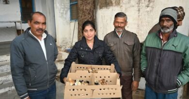 Farmers learn to raise backyard poultry farms the smart way HIMACHAL HEADLINES