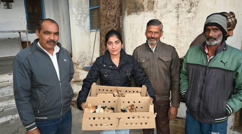 Farmers learn to raise backyard poultry farms the smart way HIMACHAL HEADLINES