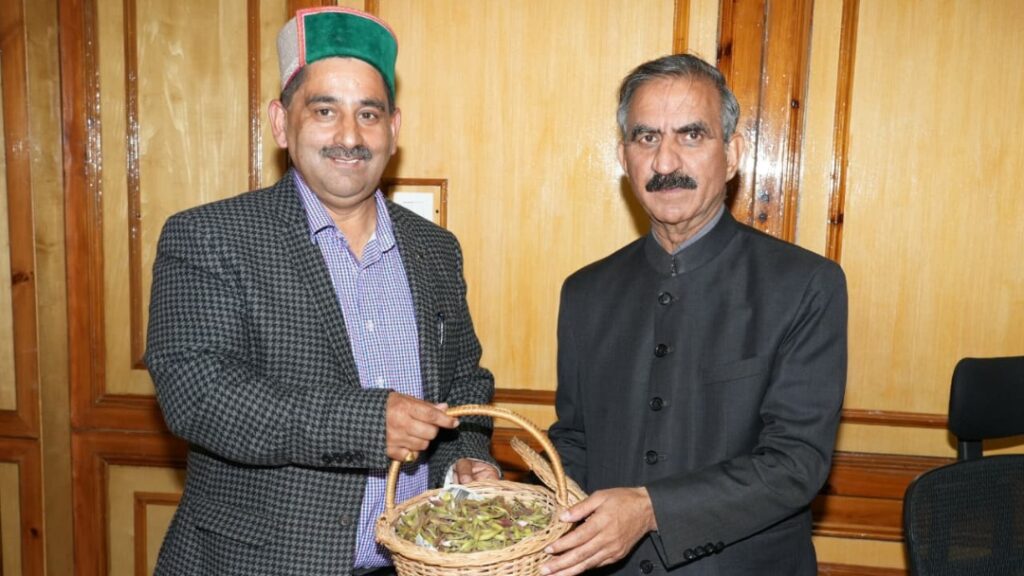 Himachal Government strengthens rural economy by promoting natural farming: Sukhu Himachal Government strengthens rural economy by promoting natural farming: Sukhu HIMACHAL HEADLINES