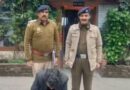 Shimla Police Make Biggest Heroin Seizure of the Year