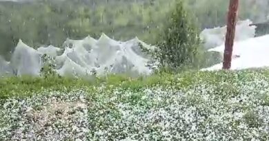 Himachal Reels Under Sudden Winter, Farmers Fear Crop Losses