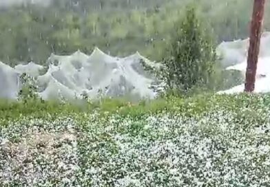 Himachal Reels Under Sudden Winter, Farmers Fear Crop Losses