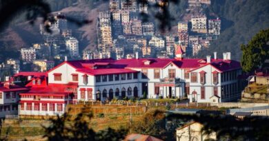 Students of Loreto Convent Tara Hall Shine with 100% Success