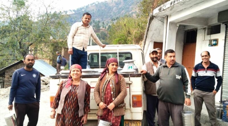 Milk reaching Rajgarh chilling plant in excess of capacity, officials worried HIMACHAL HEADLINES