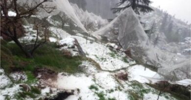 Shielding Orchards from the Storm: Himachal Plans Stronger Insurance for Apple Farmers HIMACHAL HEADLINES