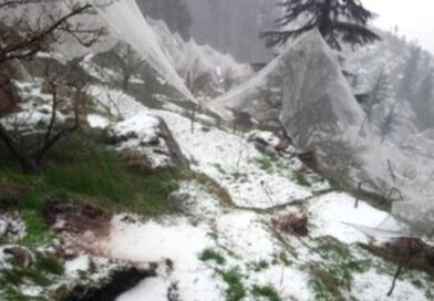 Shielding Orchards from the Storm: Himachal Plans Stronger Insurance for Apple Farmers