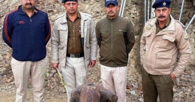 Kingpin of Shimla’s Drug Network Nabbed After Month-Long Chase HIMACHAL HEADLINES