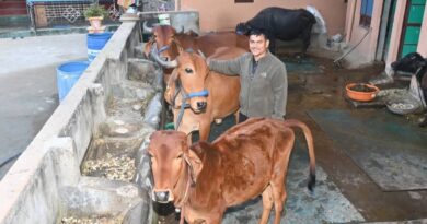 From Chemical Farming to Natural Hope: How Ravi Dutt Turned His Life Around From Chemical Farming to Natural Hope: How Ravi Dutt Turned His Life Around
