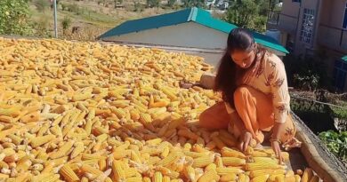 How Himachal’s Natural Farming Push has Put ₹78 Crore in the Pockets of Mandi’s Farmers How Himachal’s Natural Farming Push has Put ₹78 Crore in the Pockets of Mandi’s Farmers