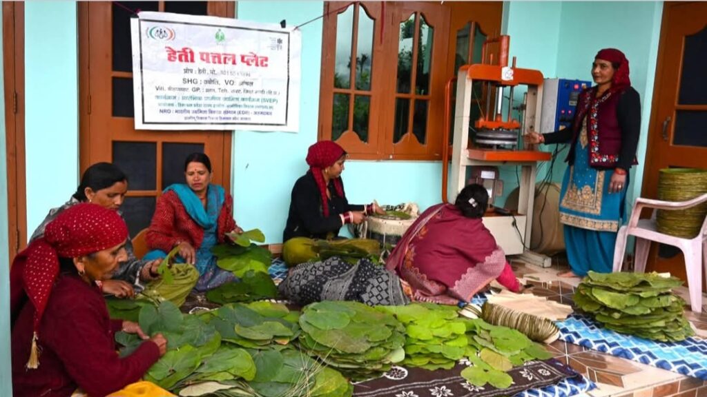 This Machine Changed My Life : How a Rural Woman Doubled Her Income Making Leaf Plates HIMACHAL HEADLINES