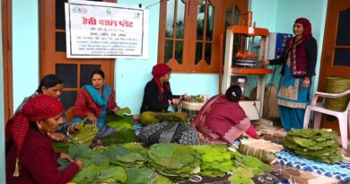 This Machine Changed My Life : How a Rural Woman Doubled Her Income Making Leaf Plates