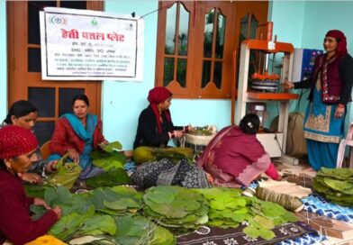 This Machine Changed My Life : How a Rural Woman Doubled Her Income Making Leaf Plates