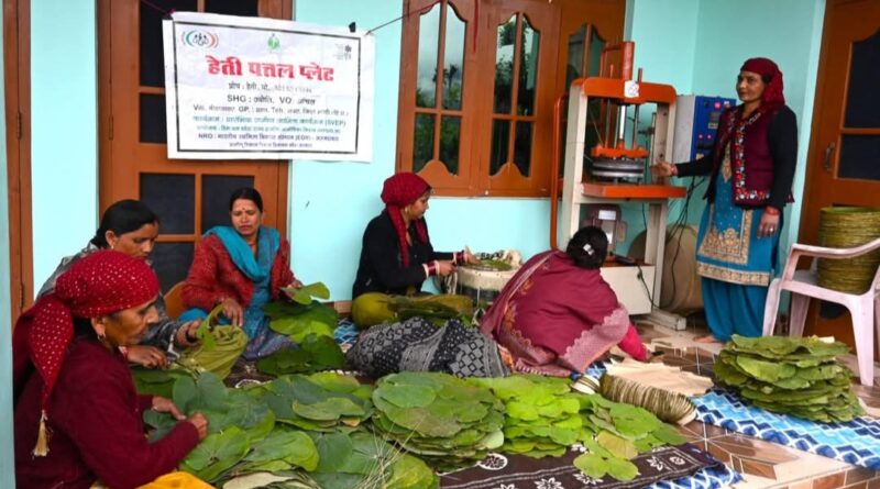This Machine Changed My Life : How a Rural Woman Doubled Her Income Making Leaf Plates This Machine Changed My Life : How a Rural Woman Doubled Her Income Making Leaf Plates HIMACHAL HEADLINES