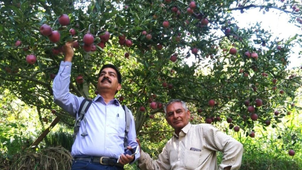 Apple variety ‘Kanwar Majholi Selection-1’ registered by PPV&FRA HIMACHAL HEADLINES