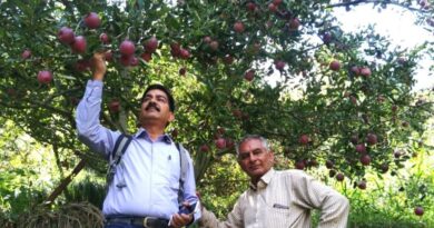 Apple variety ‘Kanwar Majholi Selection-1’ registered by PPV&FRA