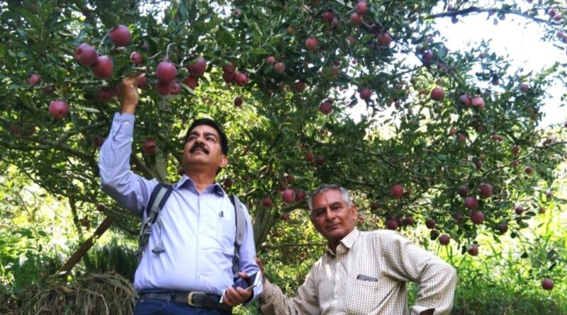 Apple variety ‘Kanwar Majholi Selection-1’ registered by PPV&FRA HIMACHAL HEADLINES