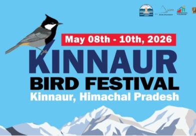Kinnaur to Host First-Ever Bird Festival from May 8–10, Promoting Conservation and Slow Tourism