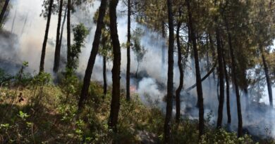 Rising Flames in the Himalayas: CSIR‑IHBT Study Warns of Changing Forest Fire Patterns