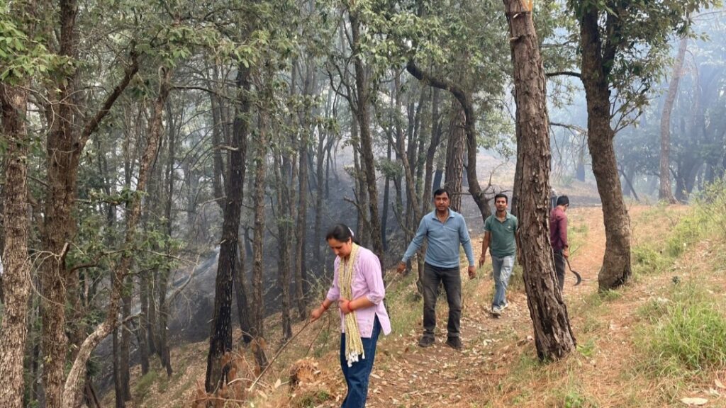 Fire ravages Loha Bhalavag forest, 25 hectares lost HIMACHAL HEADLINES