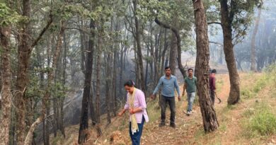 Fire ravages Loha Bhalavag forest, 25 hectares lost HIMACHAL HEADLINES