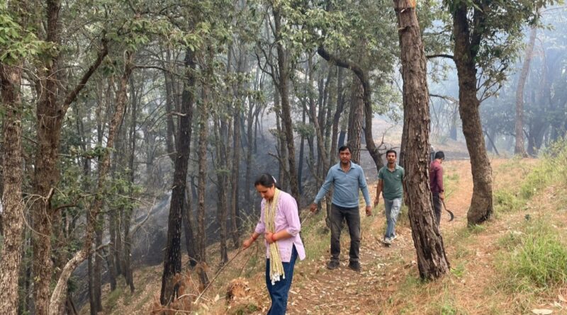 Fire ravages Loha Bhalavag forest, 25 hectares lost HIMACHAL HEADLINES