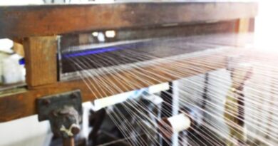 Himachal’s Silk Farmers Celebrate Record Cocoon Prices, Boost from ‘Him Silk Mission’ HIMACHAL HEADLINES