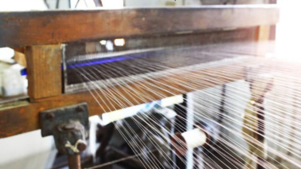 Himachal’s Silk Farmers Celebrate Record Cocoon Prices, Boost from ‘Him Silk Mission’ HIMACHAL HEADLINES