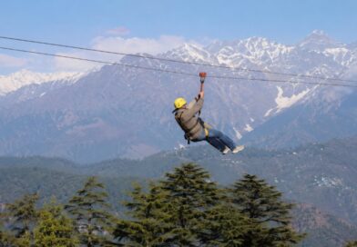 Soaring High in Dharamshala: Naddi Zipline Brings Fresh Excitement to Tourism
