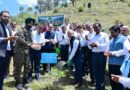 SJVN Organized Tree Plantation Drive in Shimla to Celebrate World Environment Day