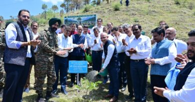 SJVN Organized Tree Plantation Drive in Shimla to Celebrate World Environment Day HIMACHAL HEADLINES
