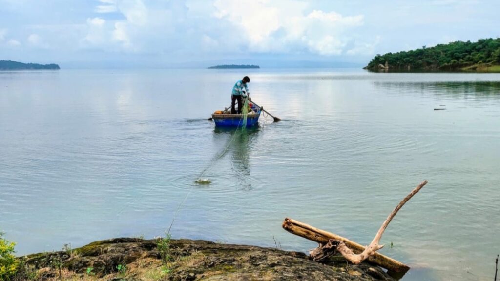 How a Fishing Boom in Himachal is Changing Lives – Record Catch, Real Support, and New Hope How a Fishing Boom in Himachal is Changing Lives – Record Catch, Real Support, and New Hope HIMACHAL HEADLINES