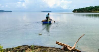 How a Fishing Boom in Himachal is Changing Lives – Record Catch, Real Support, and New Hope