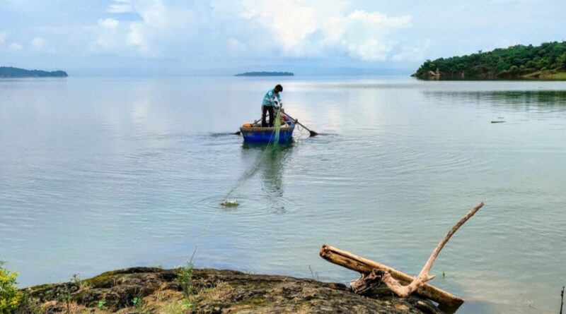 How a Fishing Boom in Himachal is Changing Lives – Record Catch, Real Support, and New Hope How a Fishing Boom in Himachal is Changing Lives – Record Catch, Real Support, and New Hope HIMACHAL HEADLINES