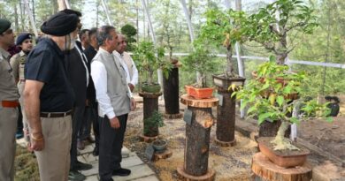 Himachal Focuses on Eco-Friendly Tourism, Boosts Infrastructure to Attract Visitors Year-Round