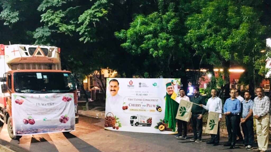 Himachal’s Fruits Take Flight: First Cherry and Plum Export Heads to Oman Himachal’s Fruits Take Flight: First Cherry and Plum Export Heads to Oman HIMACHAL HEADLINES