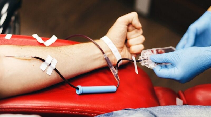 Voluntary Blood Donation Camp Organized at Nirankari Bhawan in Rajgarh; 247 Units of Blood Collected HIMACHAL HEADLINES