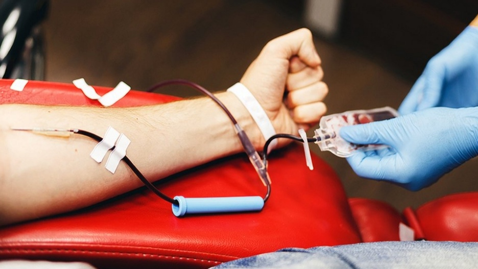 Voluntary Blood Donation Camp Organized at Nirankari Bhawan in Rajgarh; 247 Units of Blood Collected Voluntary Blood Donation Camp Organized at Nirankari Bhawan in Rajgarh; 247 Units of Blood Collected HIMACHAL HEADLINES