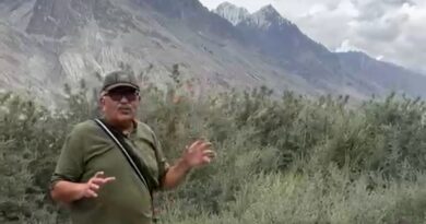 A Golden Berry for the Himalayas: Why Sea Buckthorn Could Transform Ladakh’s Future A Golden Berry for the Himalayas: Why Sea Buckthorn Could Transform Ladakh’s Future