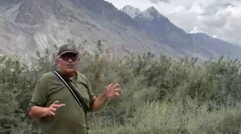 A Golden Berry for the Himalayas: Why Sea Buckthorn Could Transform Ladakh's Future A Golden Berry for the Himalayas: Why Sea Buckthorn Could Transform Ladakh's Future HIMACHAL HEADLINES