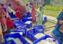 Beyond the Cocoon: How Silk is Weaving a Brighter Future for Mandi’s Farming Families