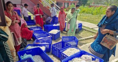 Beyond the Cocoon: How Silk is Weaving a Brighter Future for Mandi’s Farming Families