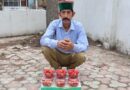Red Gold in the Hills: How Strawberries Rewrote Karsog Farmer’s Destiny