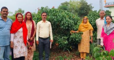 The Heartwarming Lychee Story of Bilaspur’s Lanjhta Village