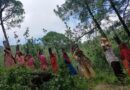 How Mandi’s Women & Youth Are Turning Barren Hills Green – And Building Their Own Lives Around It